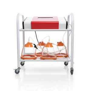 Butt and Breast Heavy duty